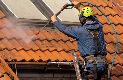 Démoussage et hydrofuge de toiture à Veyssilieu